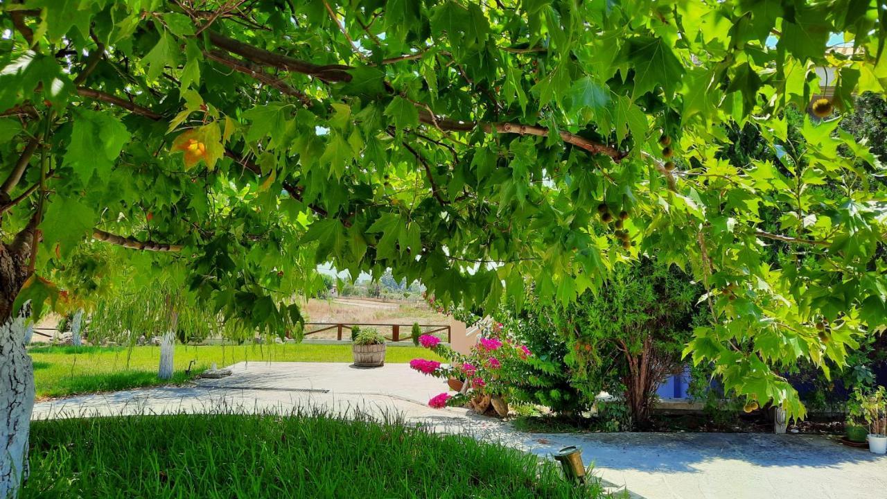 Alekos Beach Houses-Angelo 릭수리 외부 사진